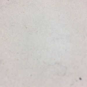 Meet your Posher, Kelli